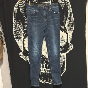 American Eagle Outfitters Blue Skinny Jeans